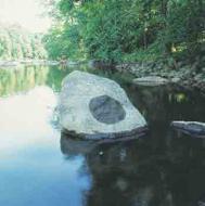 Damp and dry patches, by Andy Goldsworthy