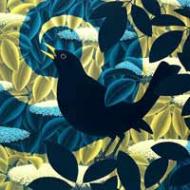 Blackbird singing, painting by Rupert Gatfield, courtesy: www.jmlondon.com