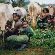 Traditional farming practices in Ethiopia Photograph: Kate Eshelby