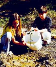 Some younger members of TreePeople's community forestry initiatives. Photograph: Melinda Kelley