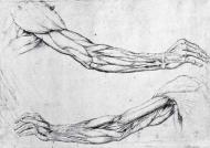 Study of arms, pen and ink drawing by Leonardo da Vinci, Courtesy: The Bridgeman Art Library
