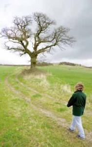 A winter walk Photograph: Maurice Van Der Velden/Istock