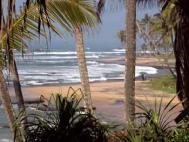 View from The Lighthouse eco-hotel, Sri Lanka. Photograph: Robin Swan