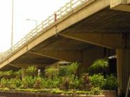 Imaginative use of urban green space, under a flyover Photograph: Zoe Yau/iStock