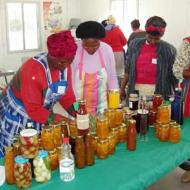 Food processing workshop in Khayelitsha