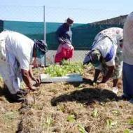 Food processing workshop in Khayelitsha