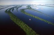 Amazon delta at the Atlantic rainforest. Photograph: Claus Meyer/Das Fotoarchiv/Still Pictures