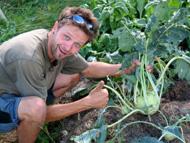 Harvesting kohlrabi Courtesy: Landmatters.org.uk