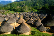 Seiyua, a typical Kogi settlement in the Sierra Nevada de Santa Marta Photograph: Danilo Villafañe