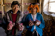 Warehouse guardians who manage more than 700 cultivars grown in the six communities comprising the Potato Park. Photograph courtesy: David Lauer