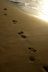 Photograph: istockphoto.com