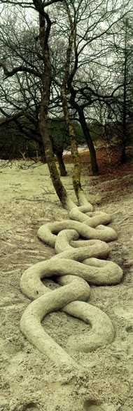 Two Trunks by Andy Goldsworthy, from Time: Andy Goldsworthy published by Thames and Hudson, UK, ISBN 9780500510261