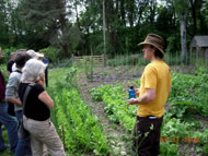 The Forest Garden at Schumacher College, Photograph courtesy: Justin West