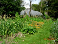 The Forest Garden at Schumacher College, Photograph courtesy: Justin West