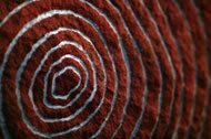 Eginja Eriyimba, granite and ocre paint, 2007 by Peter Randall-Page. Photograph: Steve Russell