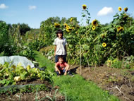 People enjoying the allotments. Photographs: courtesy Judy Wilkinson/ARI