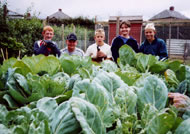 People enjoying the allotments. Photographs: courtesy Judy Wilkinson/ARI