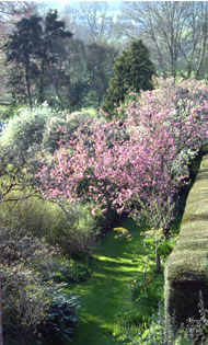 Overview of the garden. Photograph: Brigitte Norland 