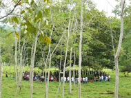 La Esperanza, during the pilgrimage a young man is caught by paramilitary but released. A part of the pilgrims follow the paramilitary to show international presence. But they keep hidden. We make a prayer circle around a tree to show that we care for life, not death Photograph: Martin Funk