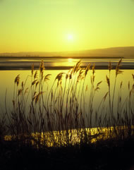 Sunset over the River Severn Photograph: Cotswolds Photo Library