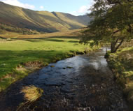 Cumbrian stream, courtesy www.sxc.hu/profile/jont 