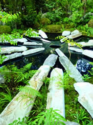 Photograph courtesy: James Towillis, http://jamestowillis.com