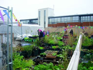 Rooftop growing space in Crouch End, London. Photograph coutesy: Azul-Valerie Thome 