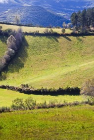 Rural landscape in autumn, Triacastela, Lugo. plazas i subiros / shutterstock