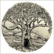 Illustration: L'arbre by Erin MacAirt www.erinmacairt.com
