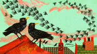 Illustration © 2012 Mark Hearld www.walker.co.uk