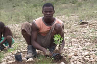 SFA photo by Sebastian Petion www.HaitiFarmers.org