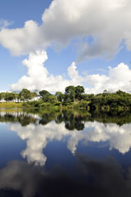 © Neil Palmer/CIAT International Center for Tropical Agriculture