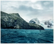 Antarctic Moss # 0212 - 7B33 (5,500 years old), Elephant Island, Antartica © Rachel Sussman