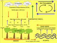 Graphs & photos courtesy of Peter Bunyard