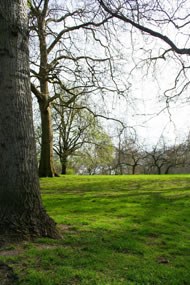 Green Park, London © Mee Lin Woon/www.freeimages.com