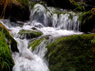 Flowing river © Xiskya Valladares/www.freeimages.com