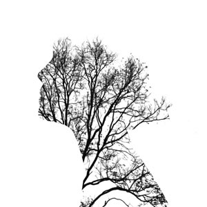 Illustration © TairA / Shutterstock.com