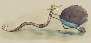 Illustration by Claudia Schmid www.claudiaschmid.co.uk