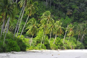 Pulau Redang III © Dr Stanislav Shmelev http://stanislav.photography/