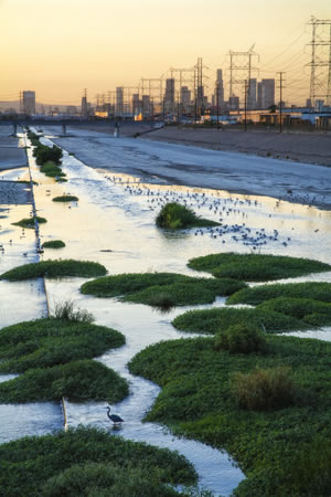 Los Angeles River and Downtown Skyline by Peter Bennett www.citizenoftheplanet.com
