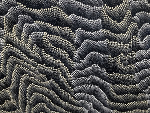 Damien Coulthard, Travelling Serpents - The Gammon Ranges and Flinders Ranges (detail), Image courtesy the artist and Rebecca Hossack Art Gallery