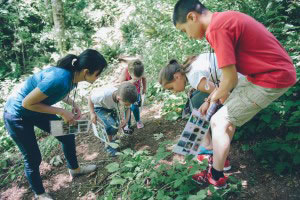 Nature education at Jubilee Farm