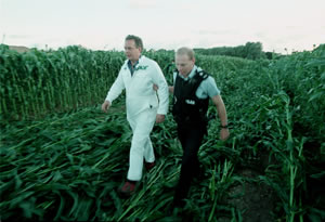 Peter Melchett arrested for removing genetically engineered maize from trial farm in Lyng, UK © Steve Morgan / Greenpeace