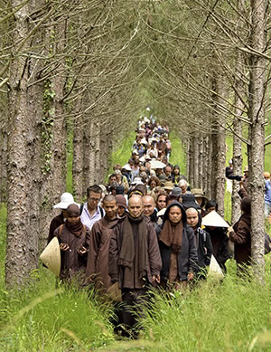 Photograph © Plum Village Community of Engaged Buddhism