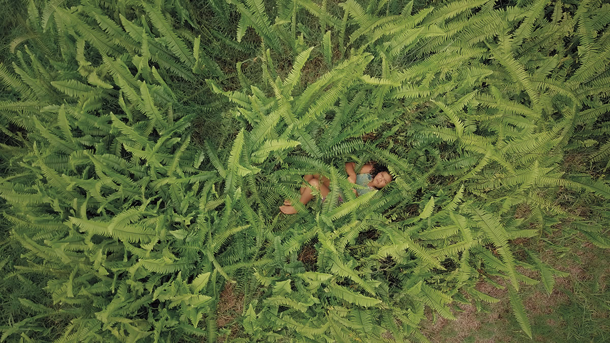 Film still from Swarm Season