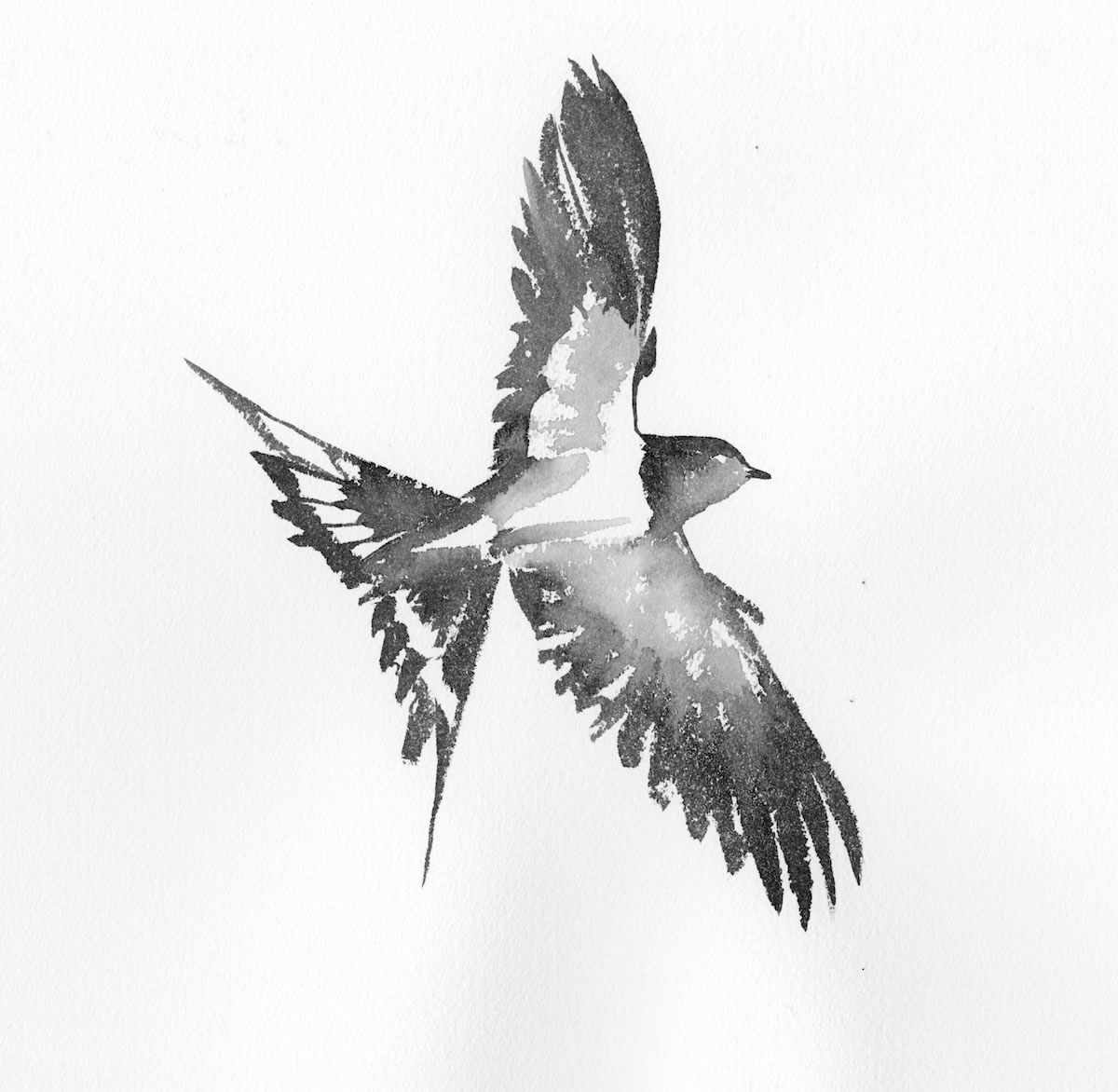 Artwork by Jackie Morris www.jackiemorris.co.uk