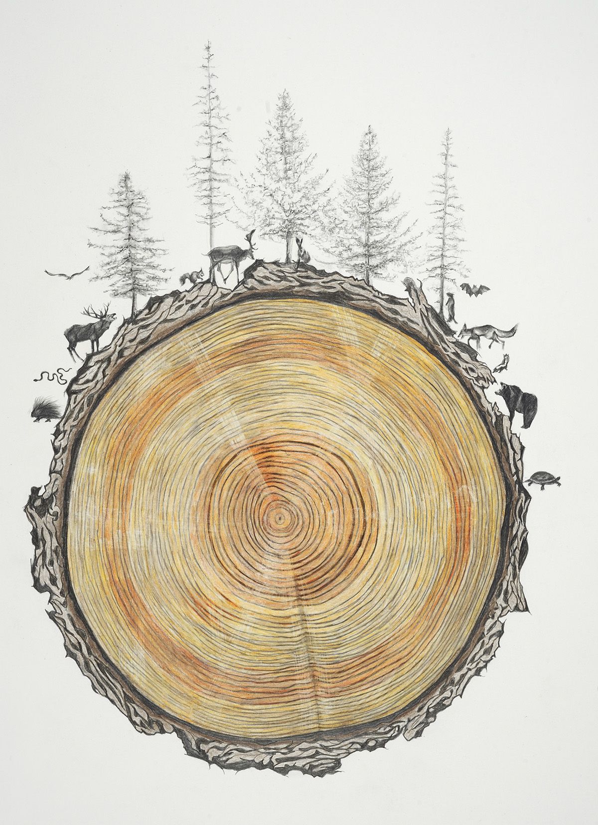 Family Tree, 2014 by Rebecca Clark www.rebeccaclarkart.com