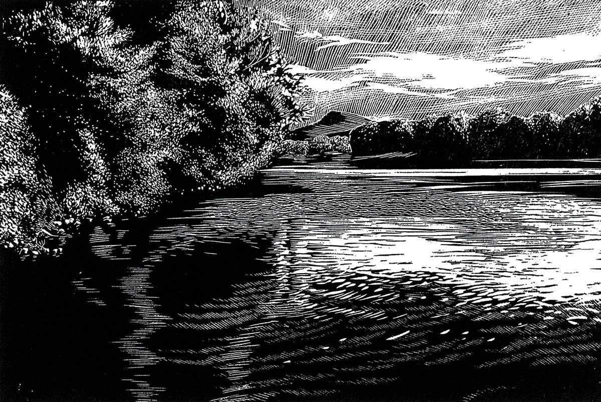 Wood engraving by Nancy Haver www.nancyhaver.com