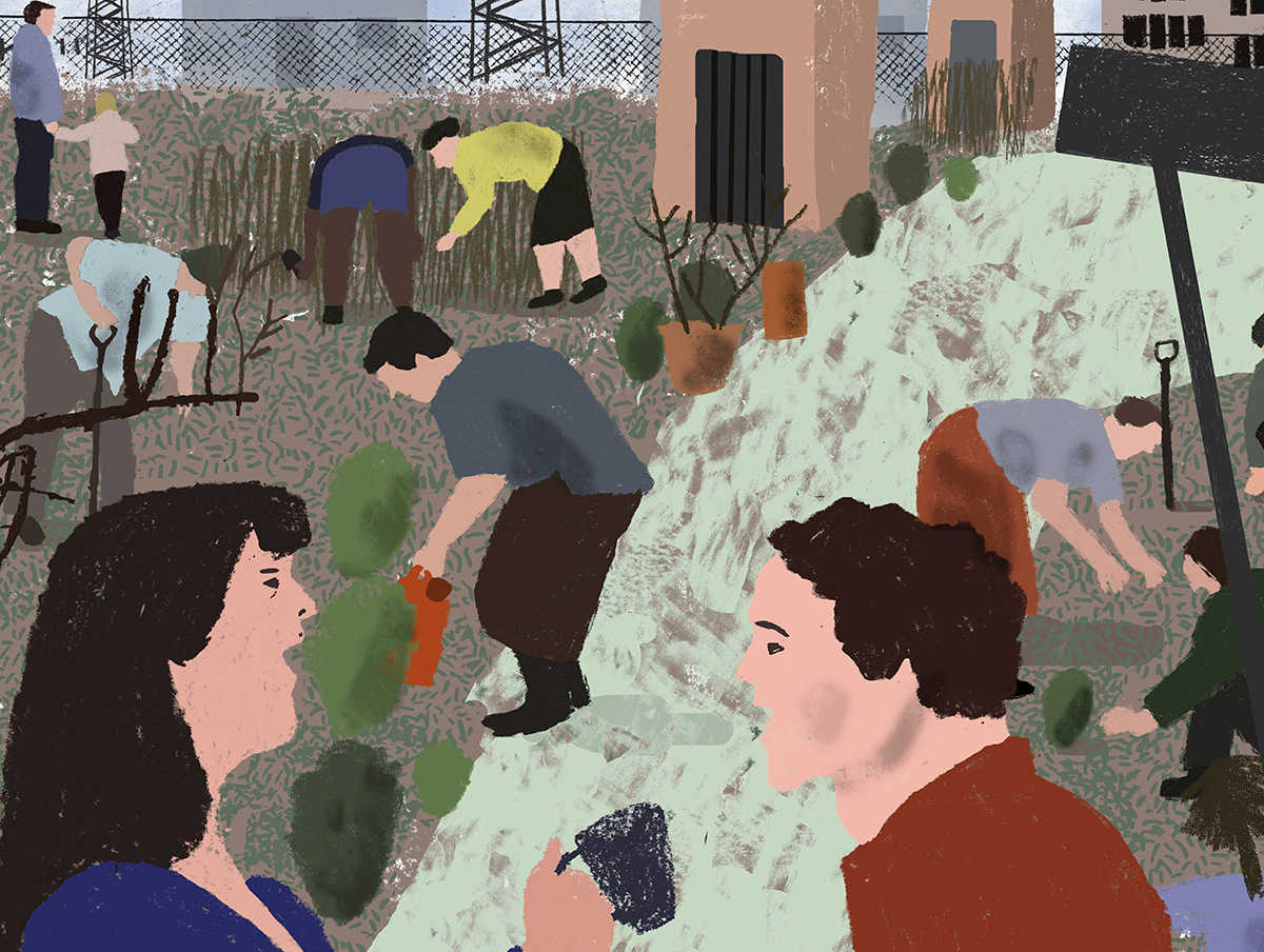 Illustration by Matt Booker www.mattbooker.co.uk