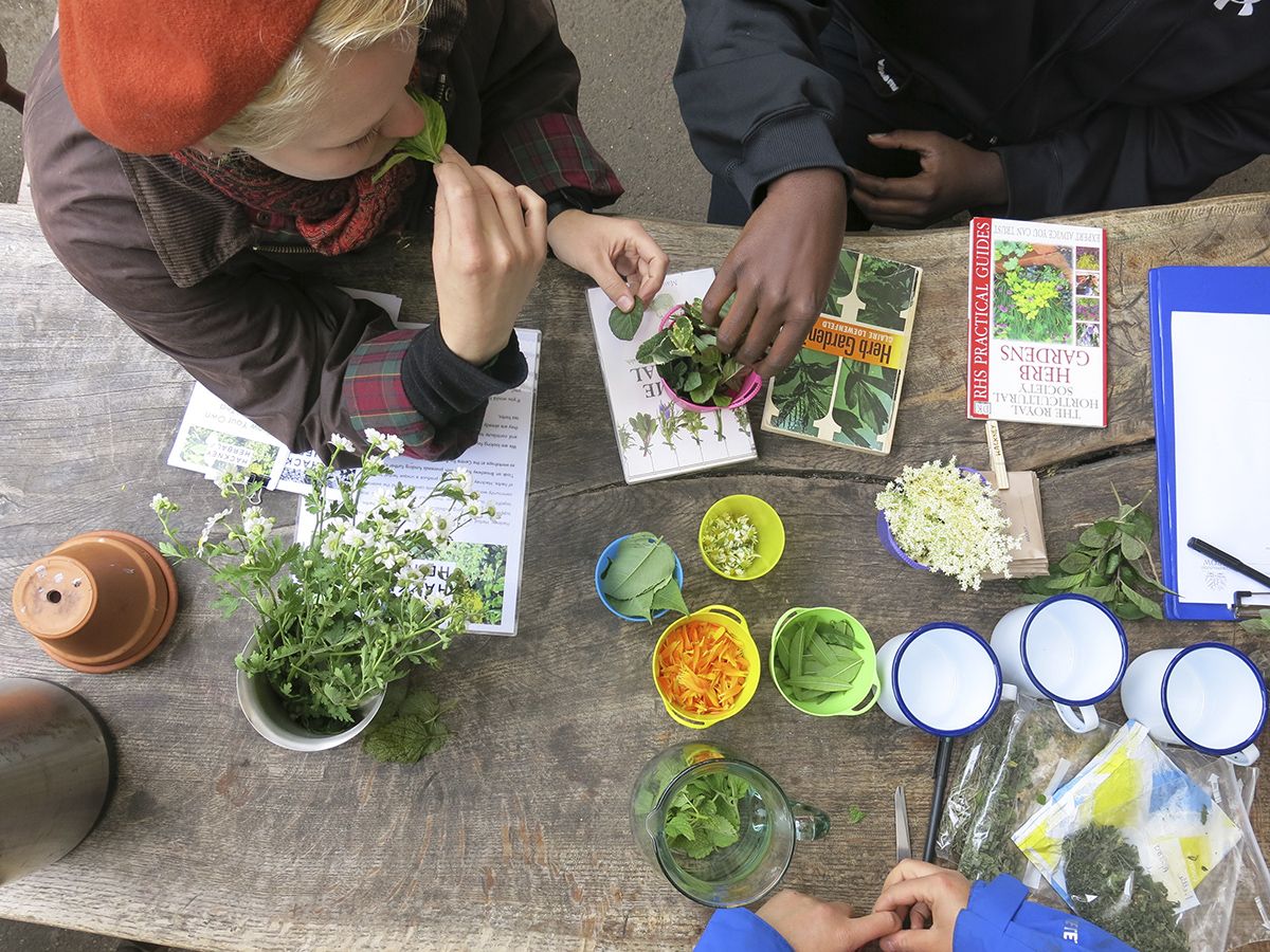 Photograph courtesy of Hackney Herbal